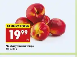 Biedronka Nekarynka na wagę oferta