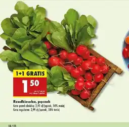Biedronka Rzodkiewka, pęczek oferta
