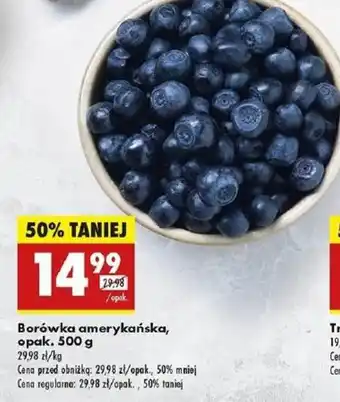 Biedronka Borówka amerykańska oferta