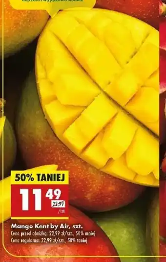 Biedronka Mango Kent by Air oferta