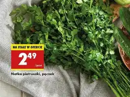 Biedronka Natka pietruszki oferta