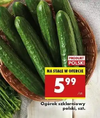 Biedronka Ogórek szklarniowy polski oferta