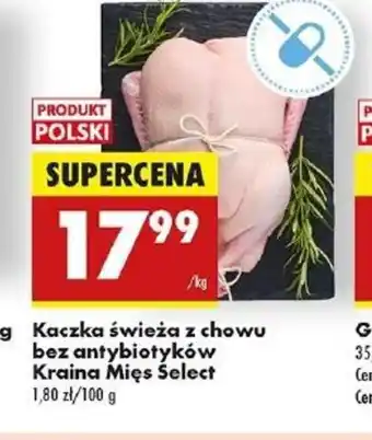 Biedronka Kaczka świeża z chowu bez antybiotyków Kraina Mięs Select oferta