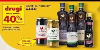 Biedronka Produkty Gallo oferta