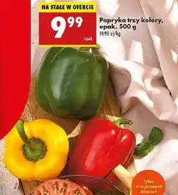 Biedronka Papryka trzy kolory oferta