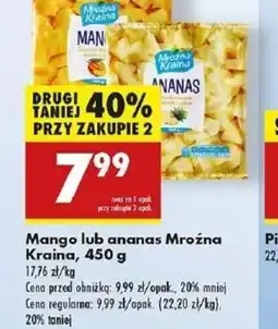 Biedronka Mango lub ananas Mroźna Kraina oferta