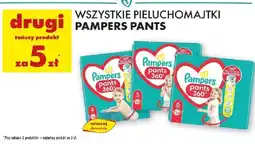 Biedronka Pieluchy Pampers Pants oferta