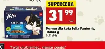 Biedronka Karma dla kota Felix Fantastic oferta