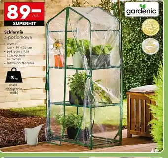 Biedronka Szklarni 5-poziomowa Gardenic oferta