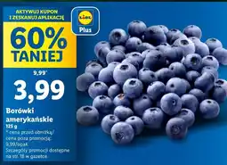 Lidl Borówki amerykańskie oferta