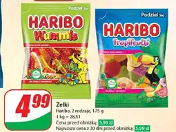 Dino Żelki Haribo Tropifrutti oferta