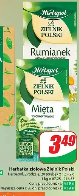 Dino Herbatka mięta Herbapol Zielnik Polski oferta