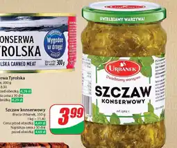 Dino Szczaw konserwowy Urbanek oferta