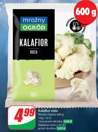 Dino Kalafior Mroźny Ogród oferta