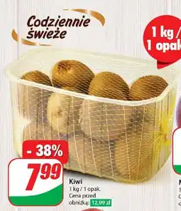 Dino Kiwi koszyk oferta