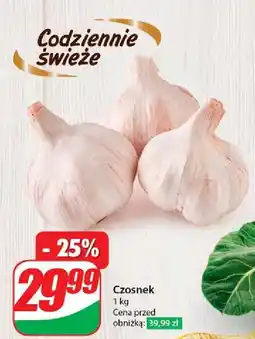 Dino Czosnek oferta