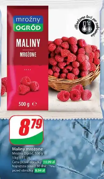 Dino Maliny Mroźny Ogród oferta