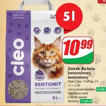 Dino Żwirek bentonitowy lawendowy Cleo oferta