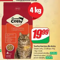 Dino Karma dla kota z wołowiną i warzywami Sweet Catty oferta