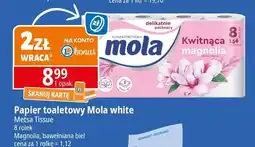 E.Leclerc Papier toaletowy bawełniana biel Mola oferta