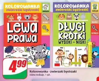 Dino Długi krótki oferta