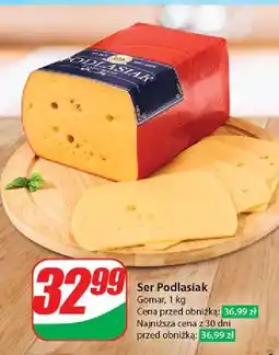 Dino Ser podlasiak z dziurami Gomar oferta