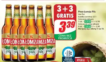 Dino Piwo Łomża Pils oferta