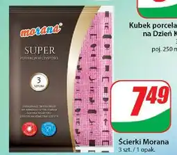 Dino Ścierka super Morana oferta