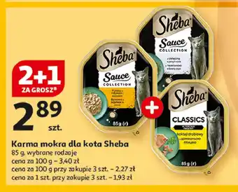 Auchan Karma dla kota pate z koktajlem drobiowym Sheba Classics oferta