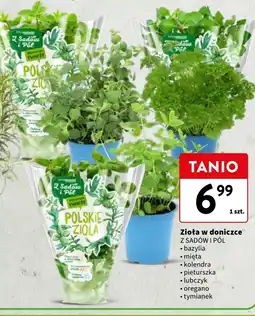 Intermarche Oregano Z Sadów I Pól oferta