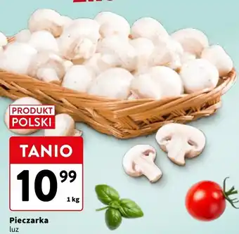 Intermarche Pieczarki polskie oferta