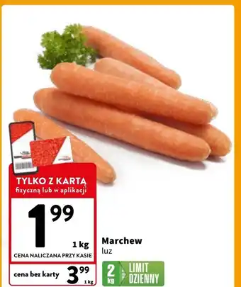 Intermarche Marchew oferta