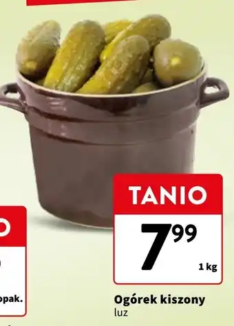 Intermarche Ogórki kiszone oferta