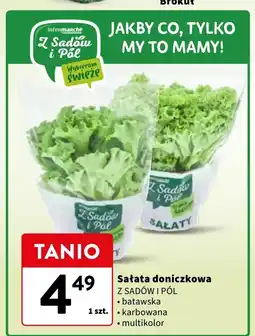 Intermarche Sałata multicolor Z Sadów I Pól oferta