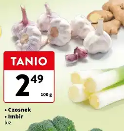 Intermarche Imbir oferta