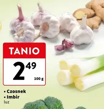 Intermarche Imbir oferta