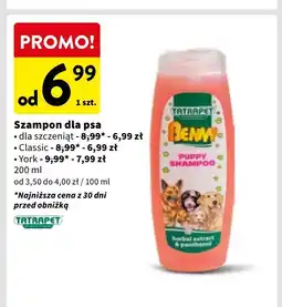 Intermarche Szampon dla psa york Tatrapet oferta