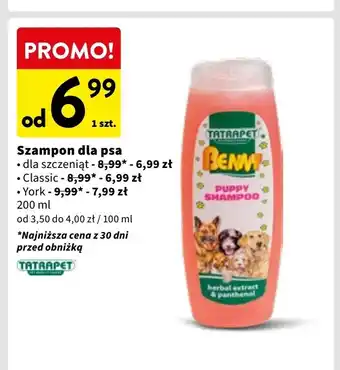 Intermarche Szampon dla psa york Tatrapet oferta