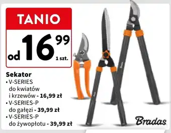 Intermarche Nożyce do żywopłotu v-series 18 cm Bradas oferta