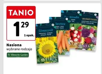 Intermarche Aster nasiona Garderin oferta