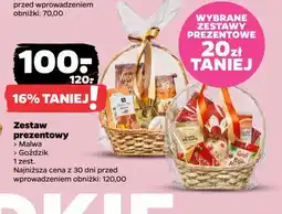 Netto Zestaw prezentowy goździk oferta