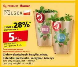 Auchan Lubczyk Auchan różnorodne (logo czerwone) oferta