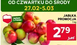 Stokrotka Jabłka oferta