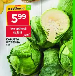 Stokrotka Kapusta wczesna oferta