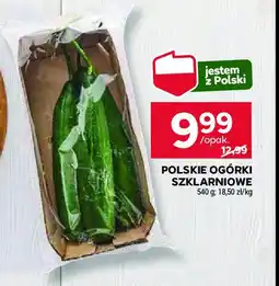 Stokrotka Ogórek szklarniowy polski oferta