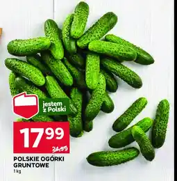 Stokrotka Ogórek gruntowy polska oferta