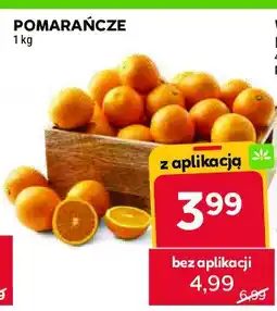 Stokrotka Pomarańcze oferta