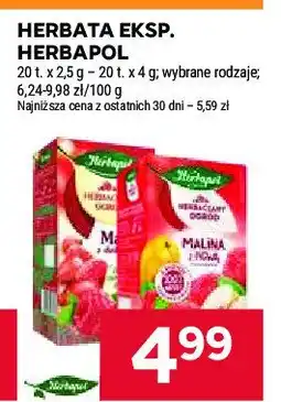 Stokrotka Herbata malina z dziką różą Herbapol herbaciany ogród oferta