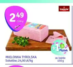 Stokrotka Mielonka tyrolska Sokołów oferta