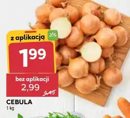 Stokrotka Market Cebula oferta